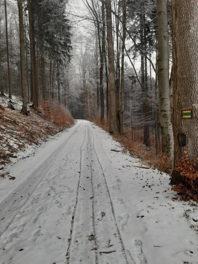 Vila Chalupa Sedmidvory Vernířovice Exteriér fotografie