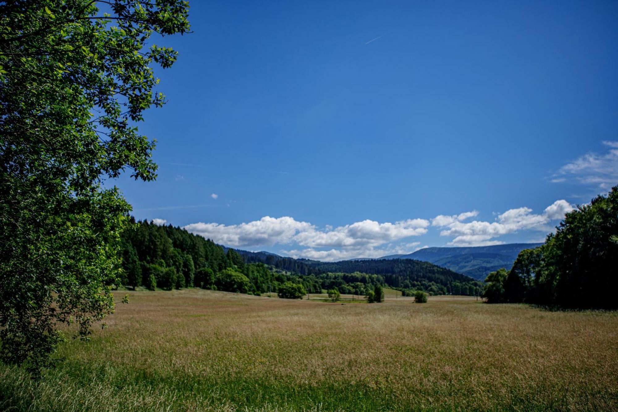 Vila Chalupa Sedmidvory Vernířovice Exteriér fotografie